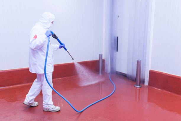 Best Machinery and Equipment Cleaning  in Burley, WA