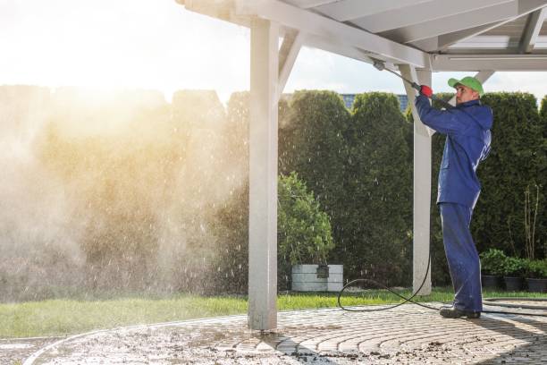 Best Rust Removal  in Burley, WA